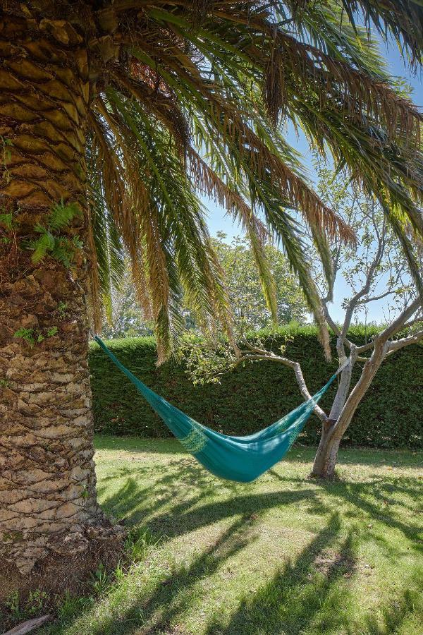 Casa Rural La Palmera - Landetxea Lasarte Oria Exteriér fotografie
